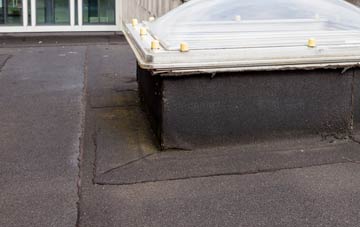 disadvantages of Bleatarn flat roofs
